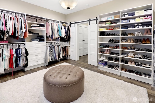 walk in closet featuring a barn door and dark wood-style flooring