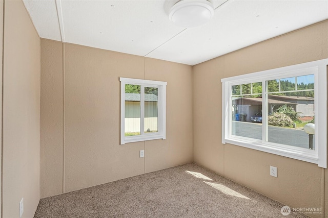 carpeted spare room featuring a healthy amount of sunlight and a textured wall