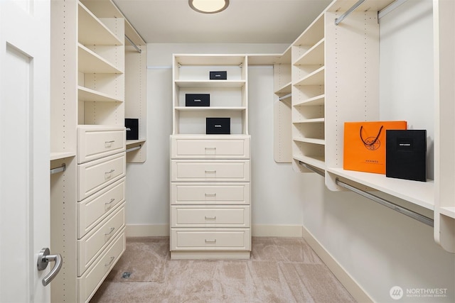 walk in closet with light carpet