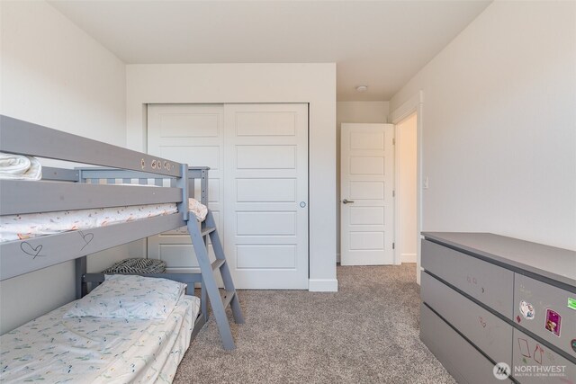 6602 232nd Ave E, Buckley, WA 98321 - photo 33