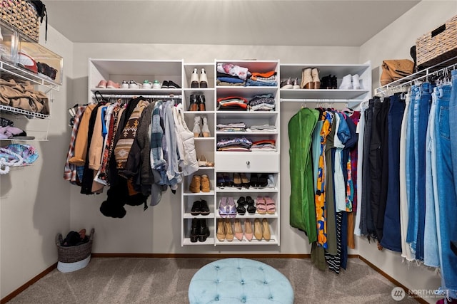 walk in closet with carpet