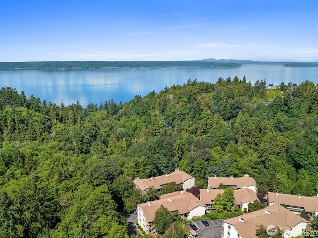 aerial view featuring a view of trees and a water view