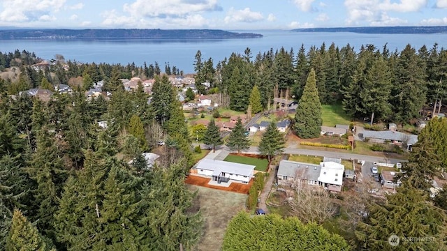 drone / aerial view featuring a water view