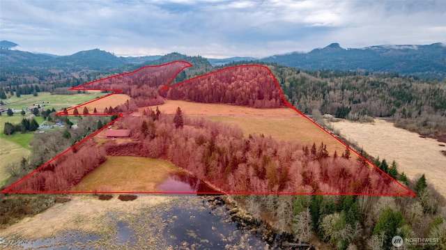 birds eye view of property with a wooded view, a mountain view, and a rural view