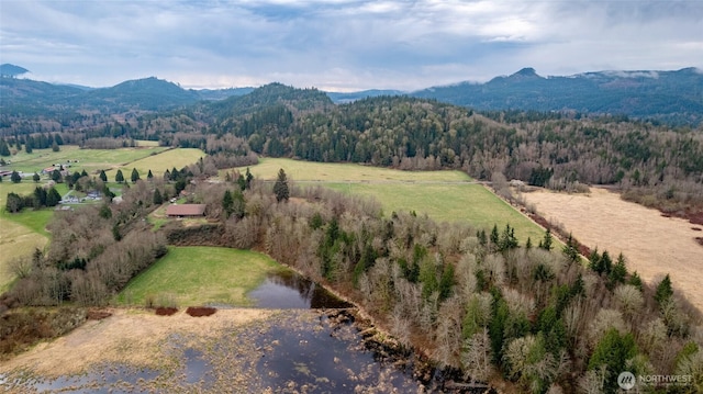 bird's eye view featuring a forest view, a rural view, and a mountain view