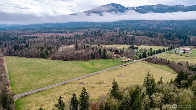 bird's eye view featuring a wooded view, a mountain view, and a rural view
