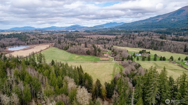 drone / aerial view featuring a wooded view and a mountain view