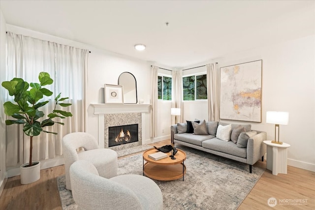 living room with baseboards, wood finished floors, and a fireplace