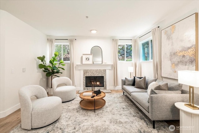 living area featuring baseboards, wood finished floors, and a fireplace