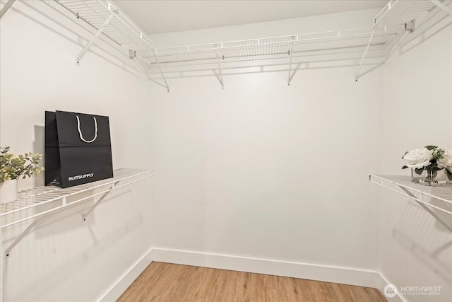 spacious closet with light wood-style flooring