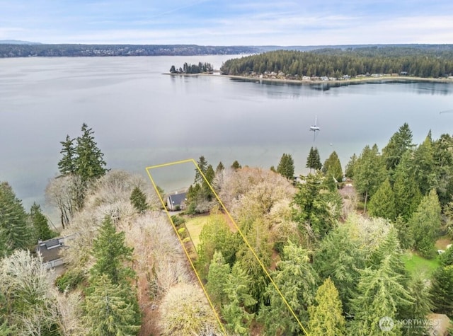 aerial view featuring a view of trees and a water view