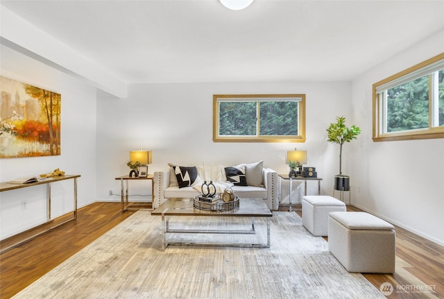 living area with baseboards and wood finished floors