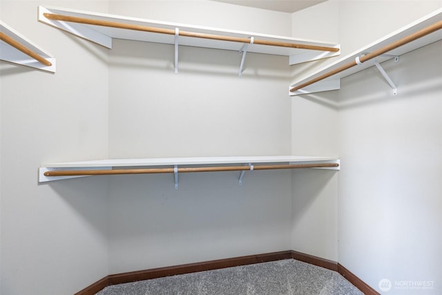 spacious closet featuring carpet floors