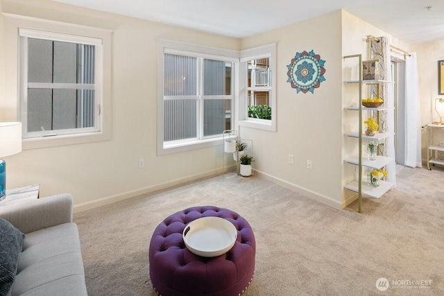 living area with baseboards and carpet