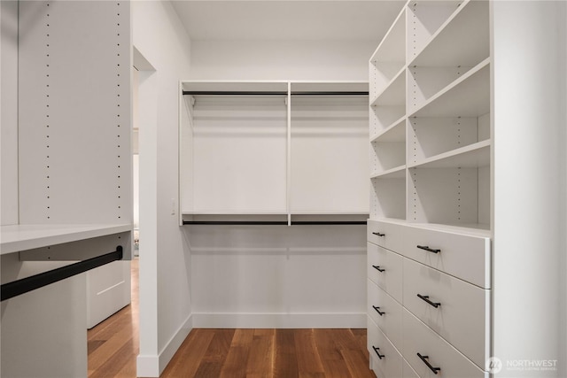 walk in closet featuring dark wood-style flooring