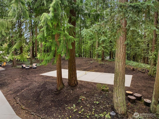 view of yard with a patio area