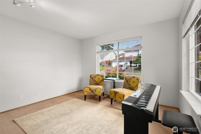 19013 112th Pl SE, Renton, WA 98055 - sitting room with carpet flooring and baseboards