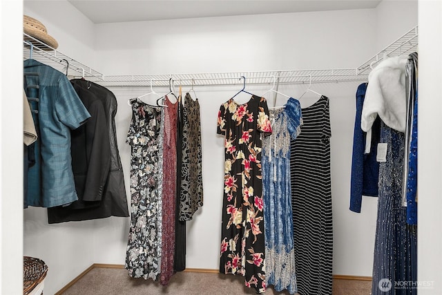 19013 112th Pl SE, Renton, WA 98055 - spacious closet featuring carpet floors