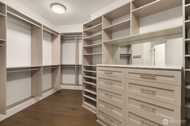 spacious closet with dark wood-type flooring