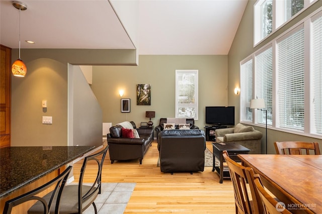 living room featuring plenty of natural light, light wood-type flooring, and vaulted ceiling