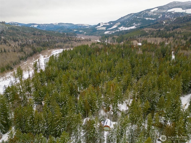 view of mountain feature with a wooded view