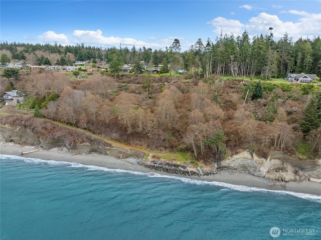 birds eye view of property featuring a forest view, a water view, and a beach view