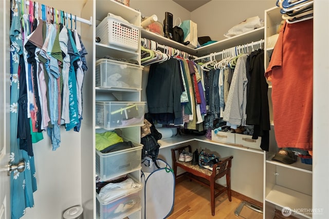 walk in closet featuring wood finished floors