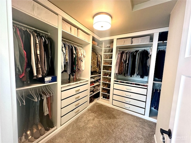 spacious closet with carpet flooring