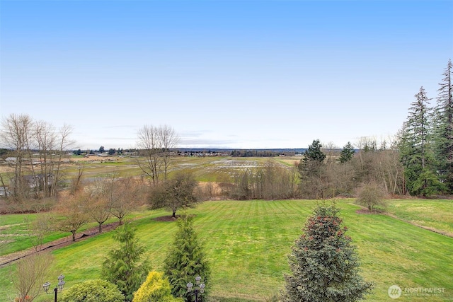 view of yard with a rural view