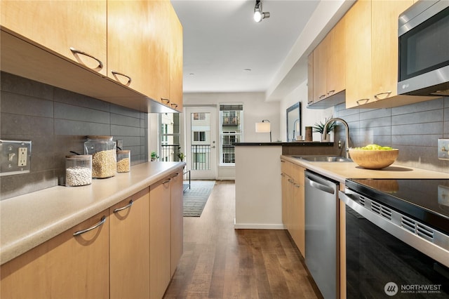 kitchen featuring baseboards, dark wood finished floors, a sink, stainless steel appliances, and backsplash