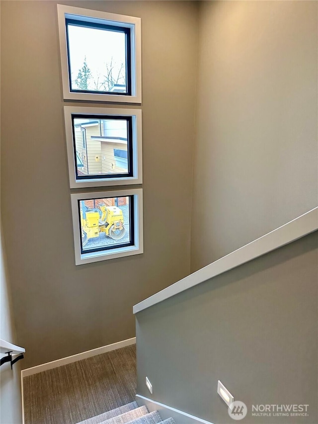 stairs featuring baseboards and carpet floors