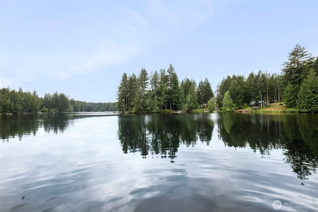 view of water feature featuring a forest view