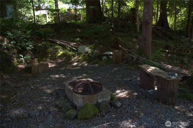 view of yard featuring a fire pit