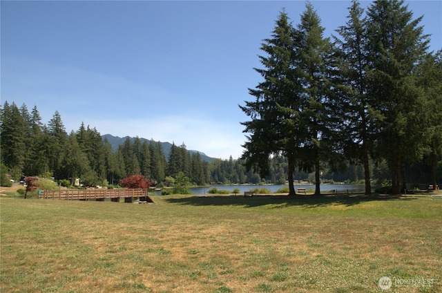 view of yard with a wooded view and a water view