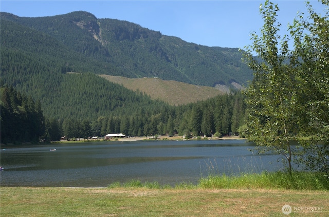 property view of water featuring a mountain view and a view of trees