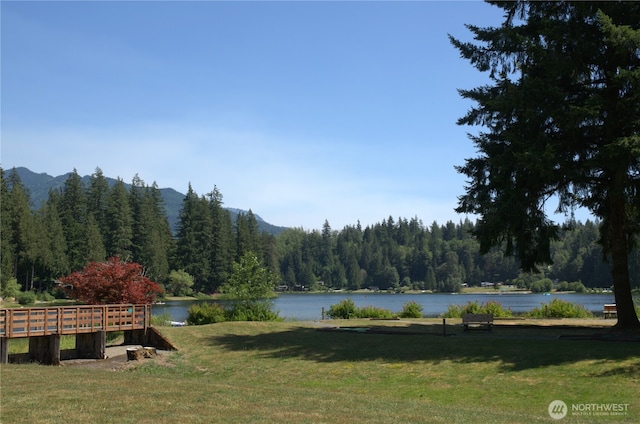 water view featuring a wooded view