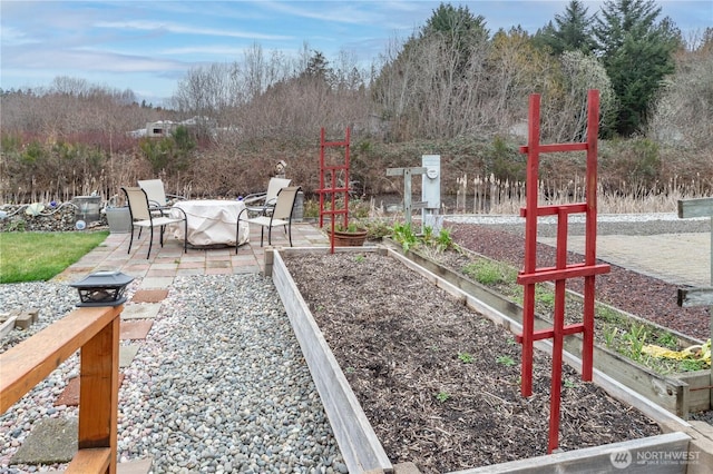 view of yard featuring a patio and a garden