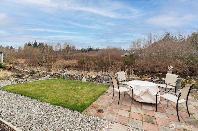 view of yard featuring a patio