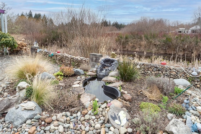 view of yard with a small pond