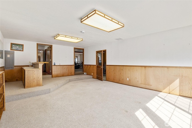 carpeted empty room with wainscoting, wood walls, and a sink