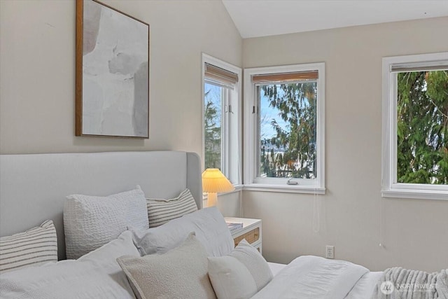 interior space with a wealth of natural light and vaulted ceiling