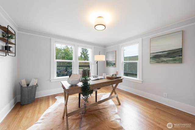 office with crown molding, light wood-style flooring, and baseboards