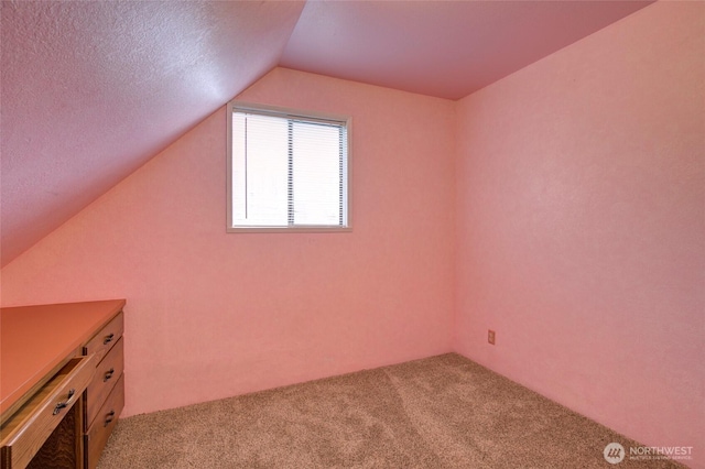 446 Eklund Ave, Hoquiam, WA 98550 - additional living space with carpet, vaulted ceiling, and a textured ceiling