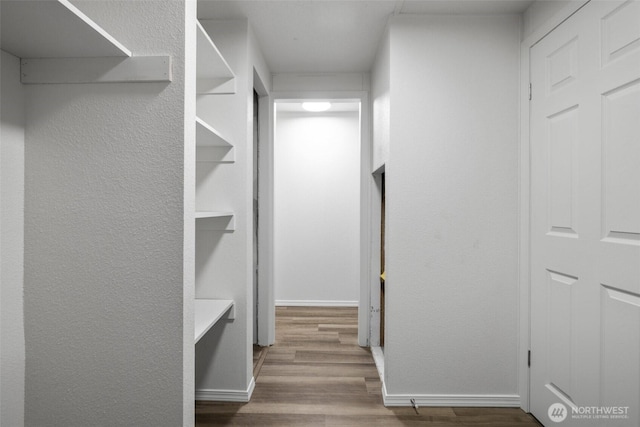 walk in closet featuring wood finished floors