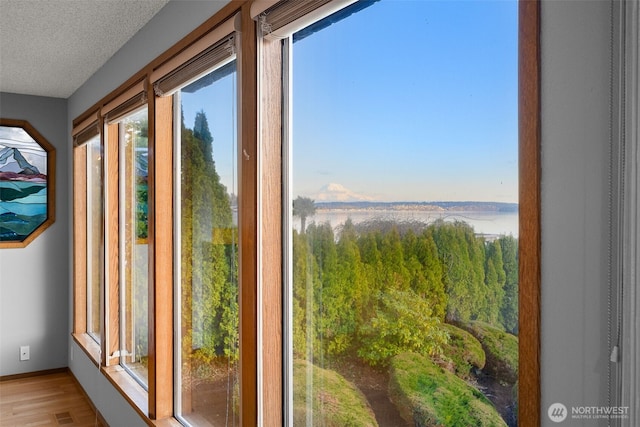 room details featuring wood finished floors, baseboards, a water view, and a textured ceiling