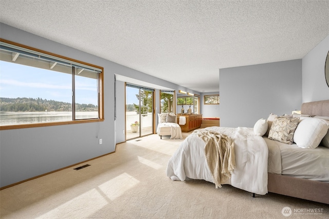 carpeted bedroom featuring visible vents, baseboards, a textured ceiling, and access to exterior