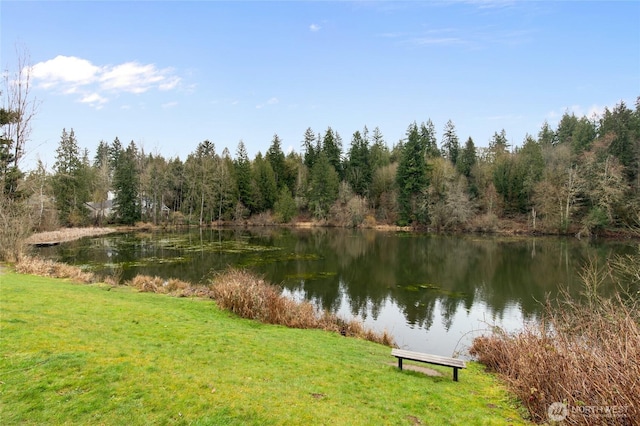 property view of water with a view of trees