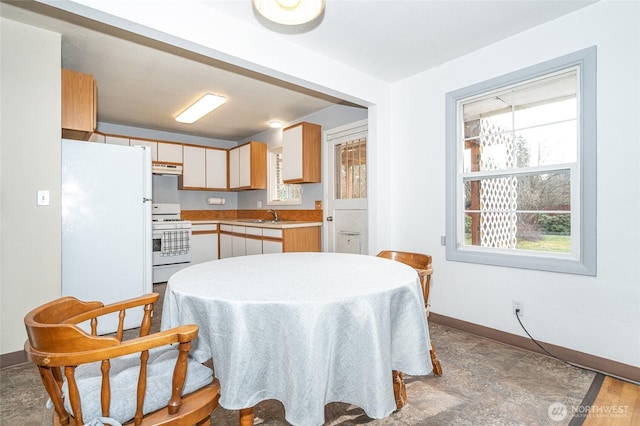 dining room featuring baseboards