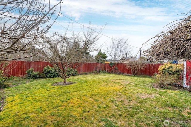 view of yard with a fenced backyard