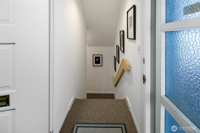 staircase featuring baseboards and carpet floors